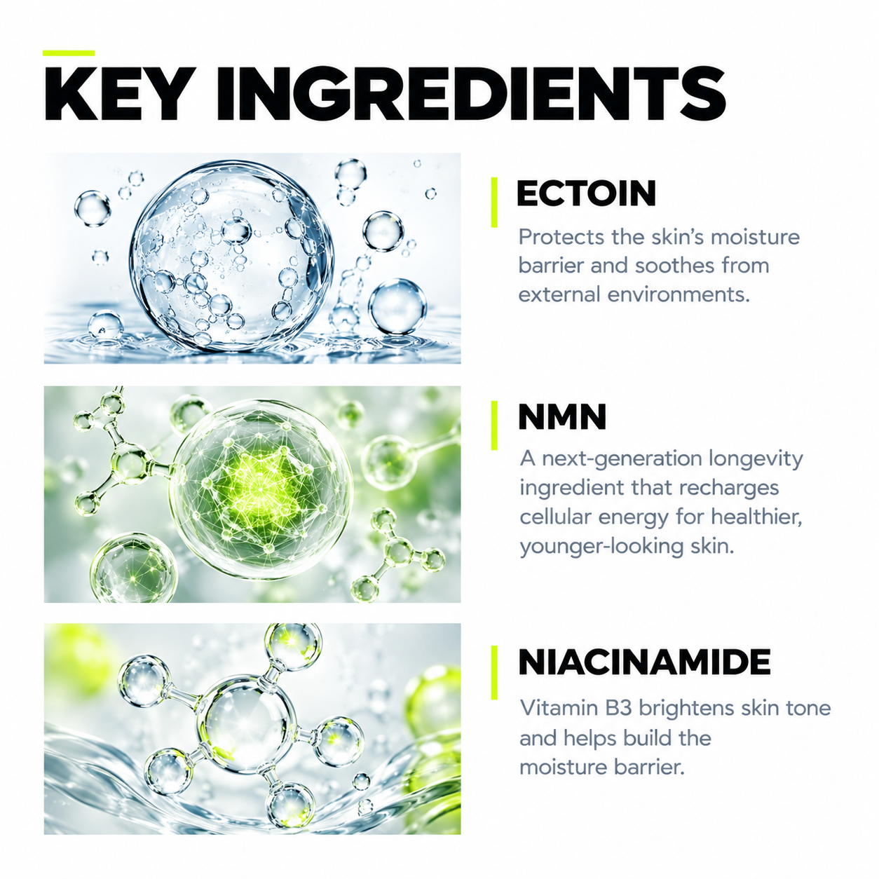 All in One Moisturizer